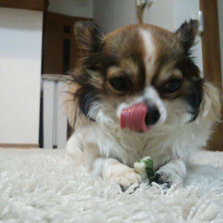 D1f7669a 6f69 4c11 b8c1 c013d0862d5d