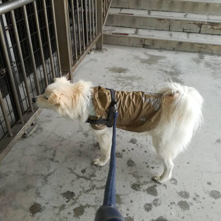 D1f8308c 71bc 4093 938d 6df527c2c767