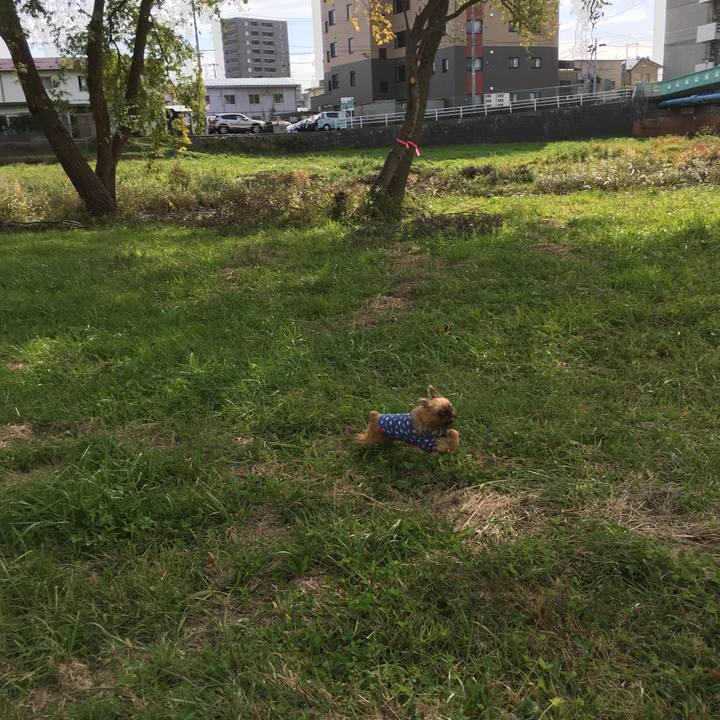 D1f88270 2d7a 4be1 952f 7a2b5e7aef55