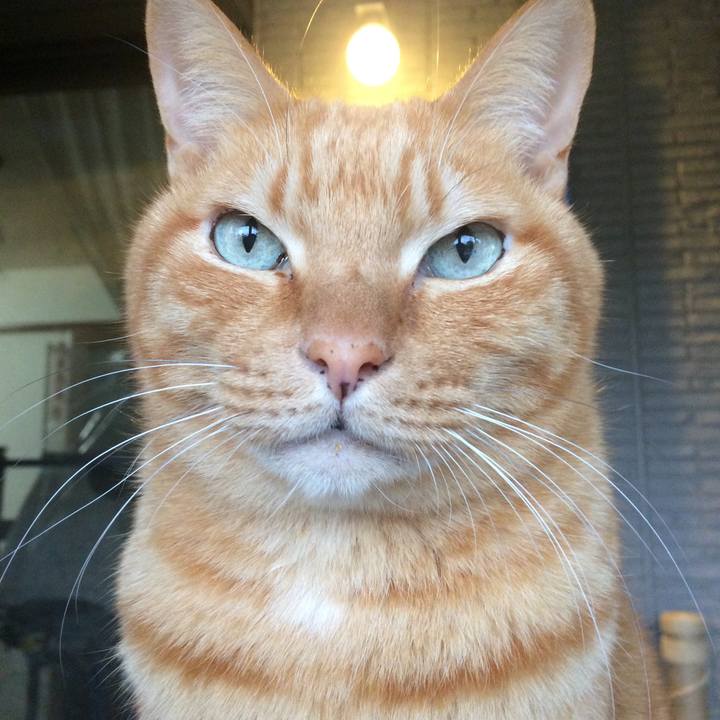 D1f89b21 e980 4a26 980a fab5849583de