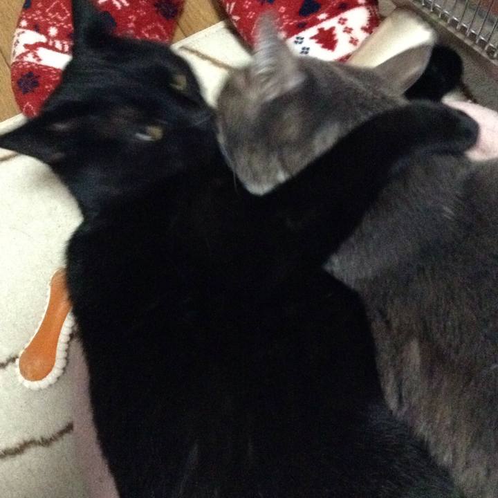 D1f8ddf2 cd2d 4117 bf00 4348e5475fd1