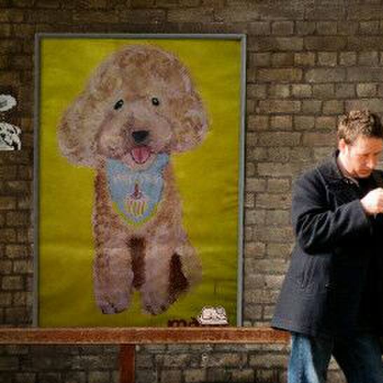 D1f91056 9fe7 4c4e 9951 629190d1c746