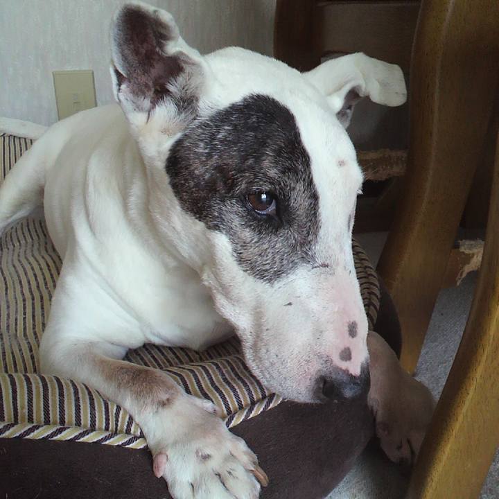 D1f973b7 e0ea 4581 aa90 6de39d2fbbc8