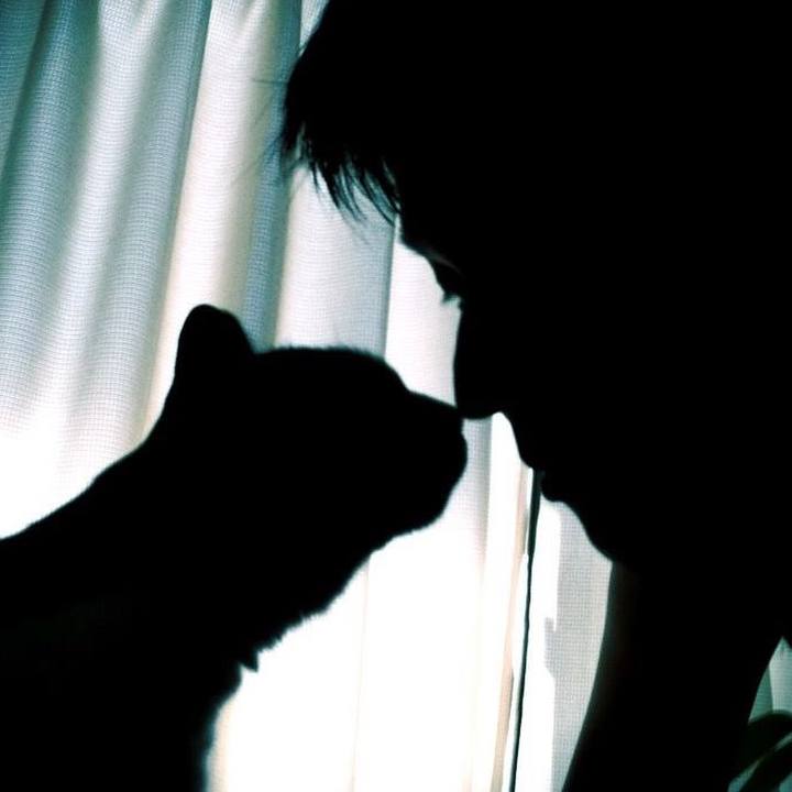 D1f9af6c 3819 4349 ae6a b77d8a84e801