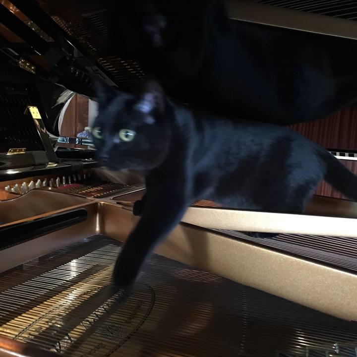 D1f9c0b0 e385 42b2 870a 2758ca444535