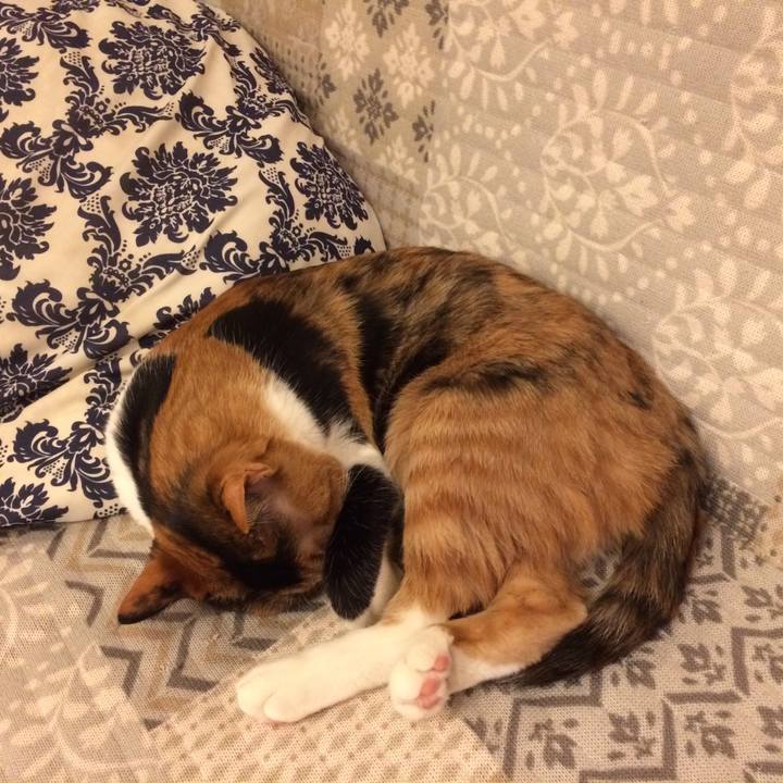 D1fad6bb 7b18 4c9a a07e eb2fbe1bd025