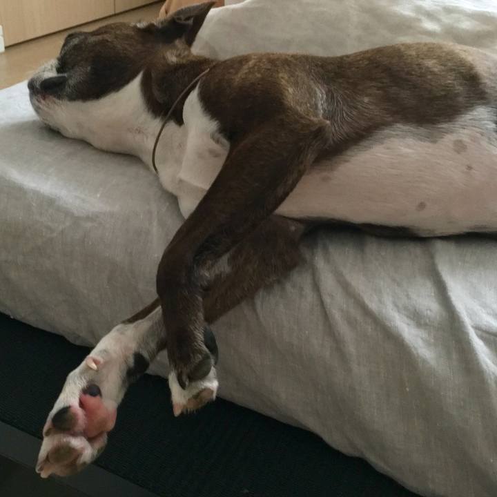 D1faec71 9ae2 48b6 ab75 afa3d09dc88c