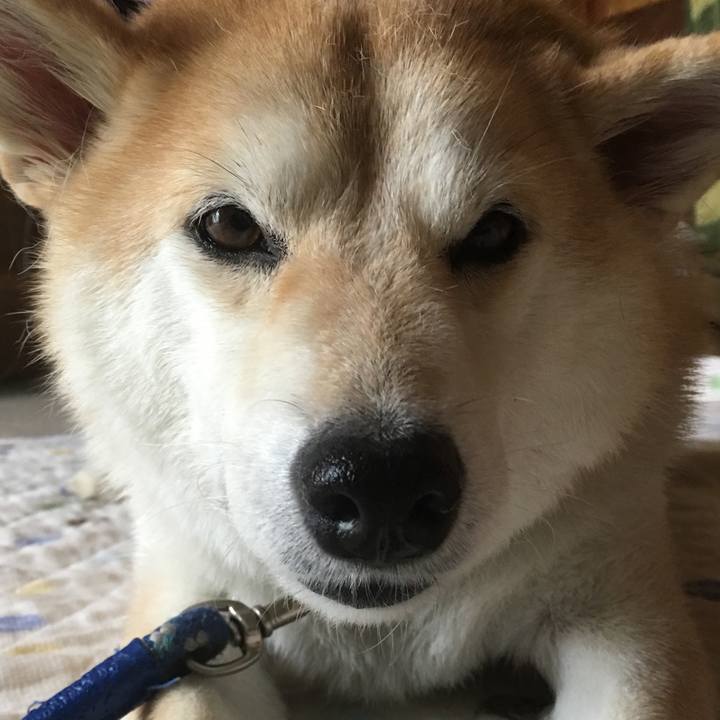 D1fbda04 5d51 4cf3 9986 306f9c5f0b1f