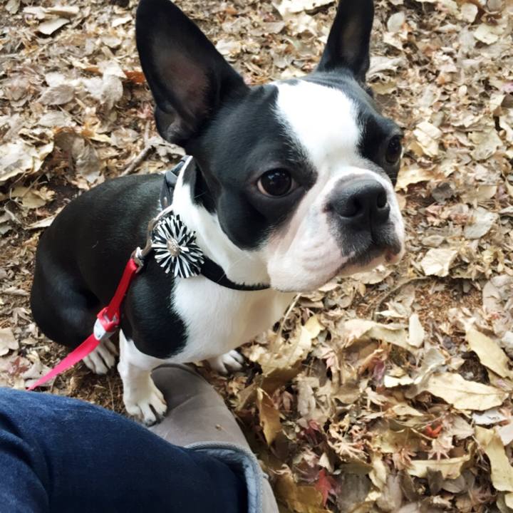 D1fc7563 6ea2 4d56 9605 8d9c3e7843e6