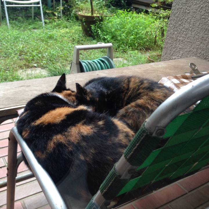 D1fd7c07 70fb 417b b1f1 fdf8d6e23acd