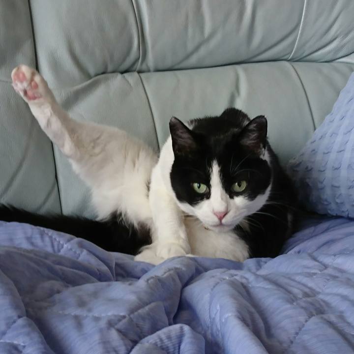 D1fe0f54 69d7 48f4 b7c6 f4489349307a