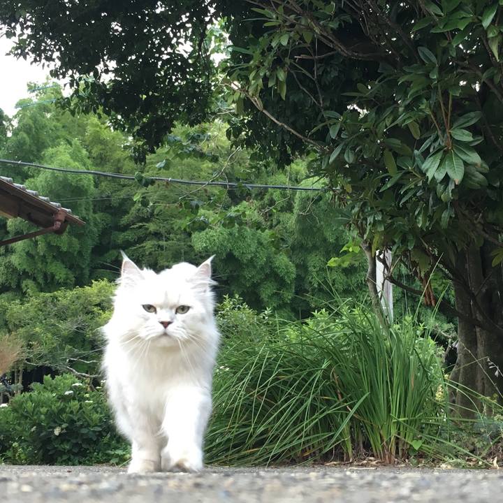 D1fe5db4 c6b0 4c12 991a 359c6fd4c58e