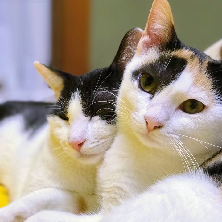 D1fee980 d65d 4df7 9191 06abe137274a