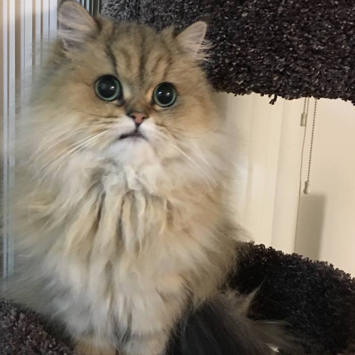 D1ffed65 aa80 42b9 8830 2325f35fbb40