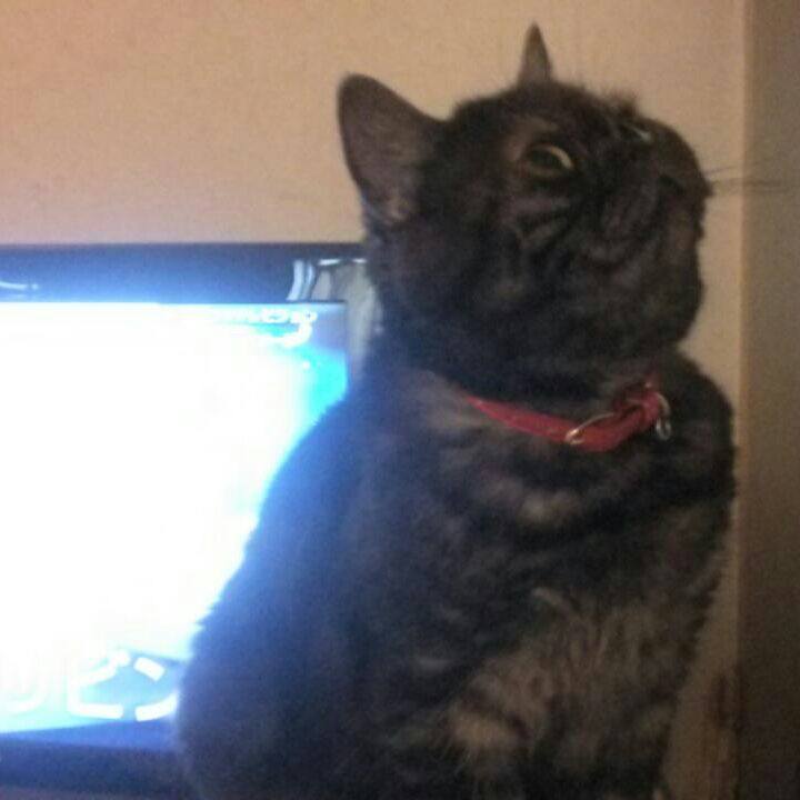 D20146fa 553a 4a5f 97c2 d1e8fccaeb72