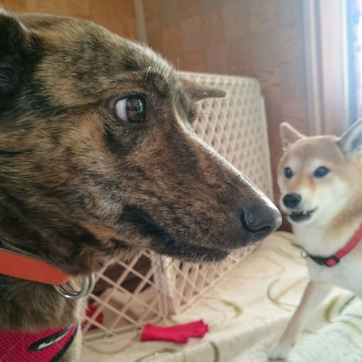 D2018e9e b97e 40da b882 3d80d3acb8bc