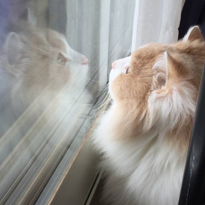 D2019500 93c2 45f2 b3f8 db3c70a16bf1