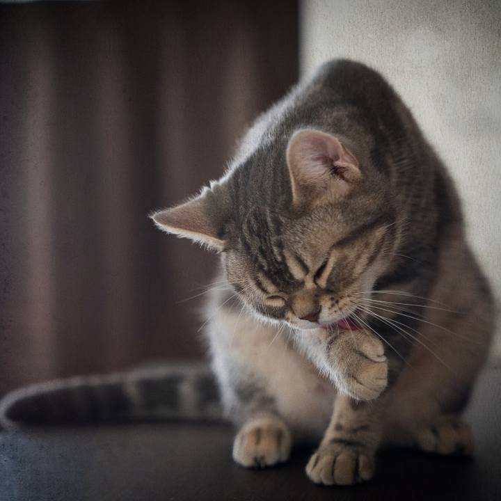 D20302cf 34b9 444e 8a6f 99a8b42f3aea