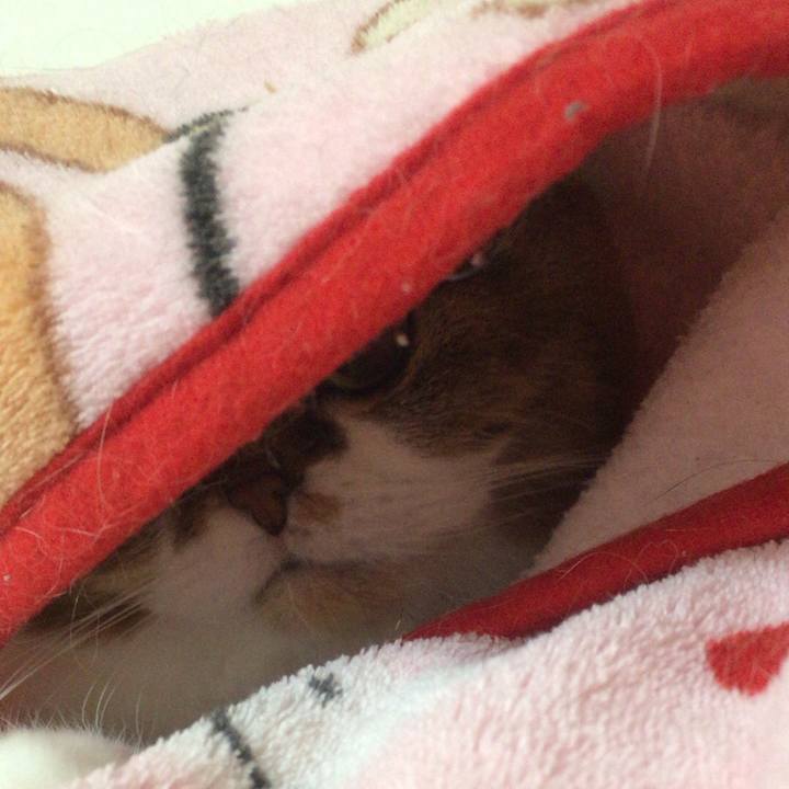 D203a4f3 1f71 4f20 9409 a5ef5d427cf6