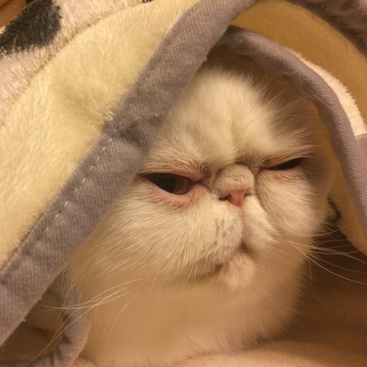 D203b909 902e 46f2 80f3 1bb13ce3da6b