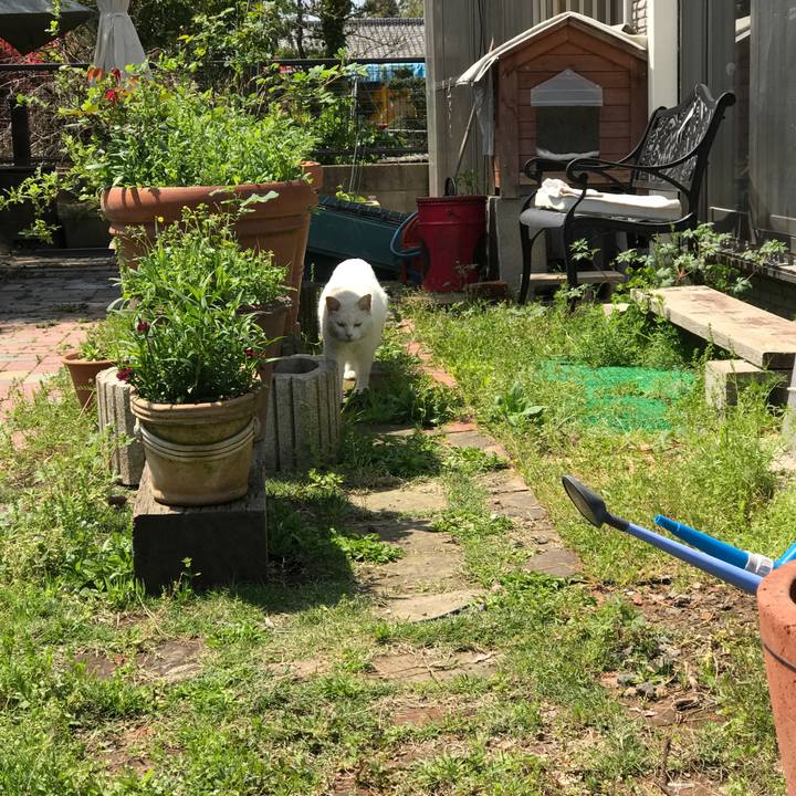 D20419bc 9092 4a9e 9a2c e496a9237477