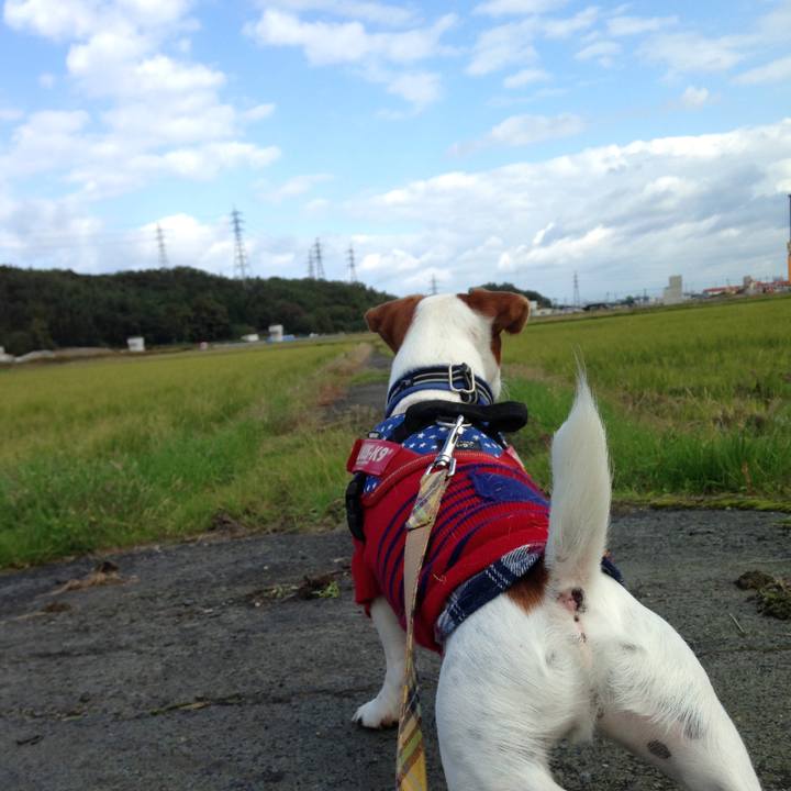 D20426bb de4c 4f17 ae7d 209b3b24e4ff