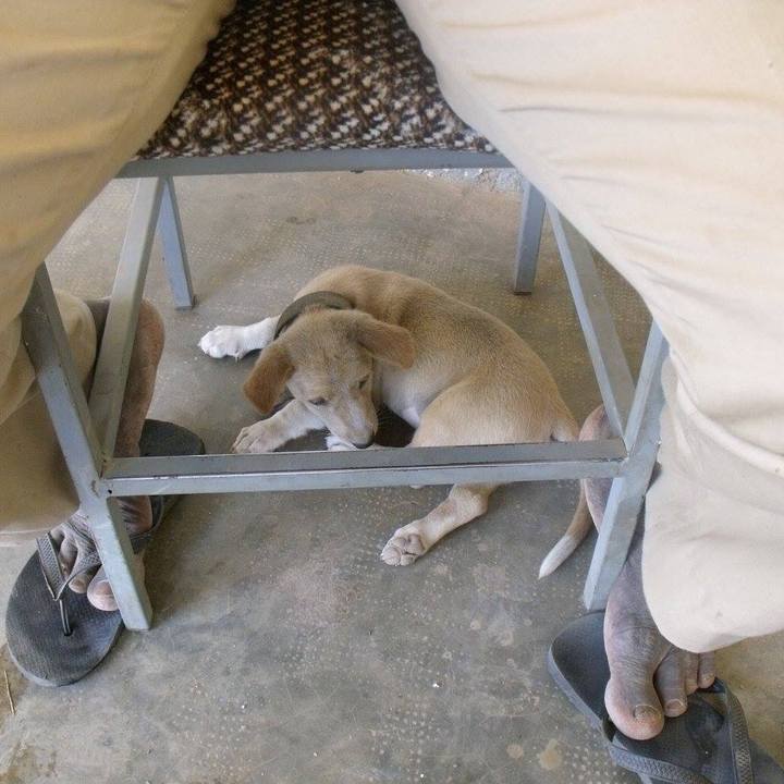 D20462a4 a14b 491b af5b abcc15b07af9