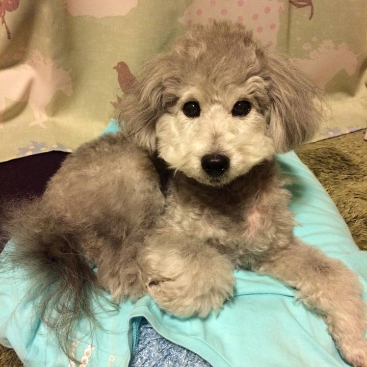 D204bdca 24eb 46db bcfa 5eccb1b5acc3