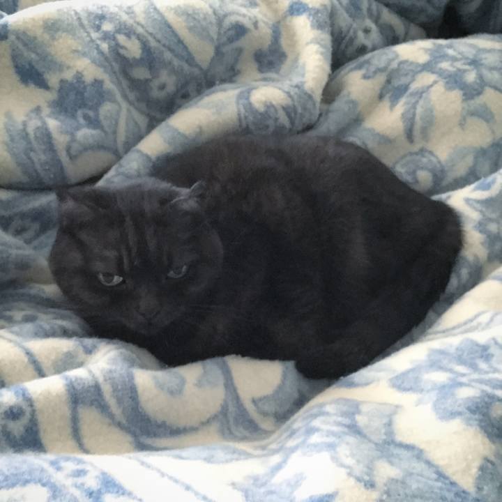 D20547b1 f5c4 4baf a172 e9da07217998