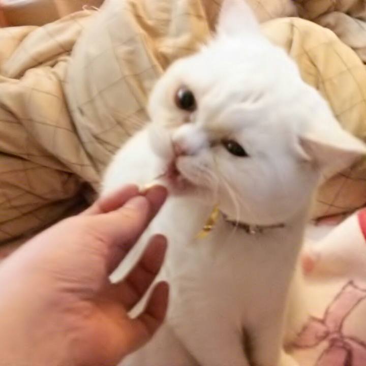 D2054f4b a8d3 4ef5 8938 906395fabbbd