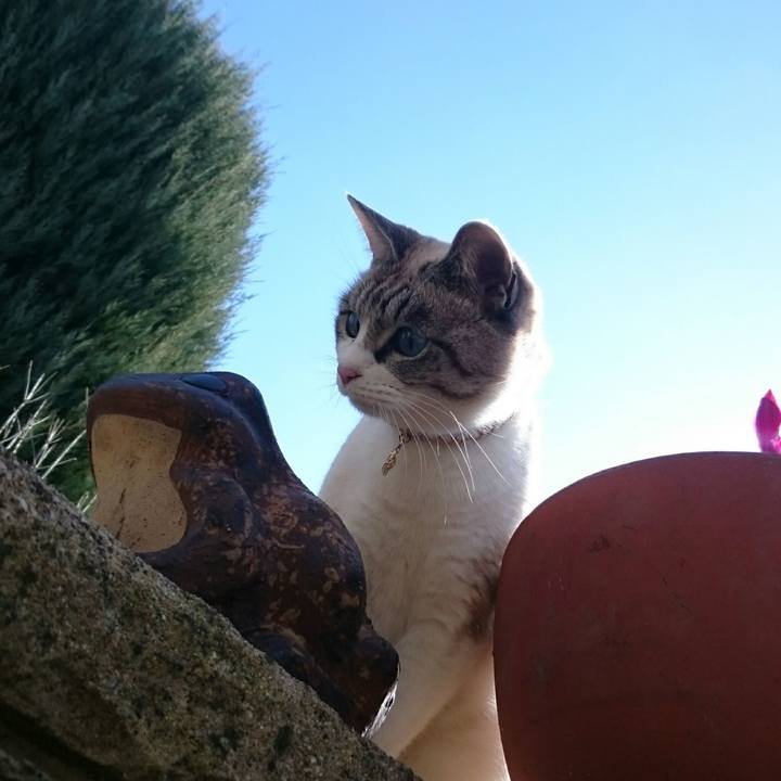 D205a05c 1cd1 4f2c 9999 f3cc6df80cd2