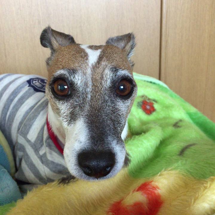 D206436c b83a 4761 b7fb d20cf5ed5198