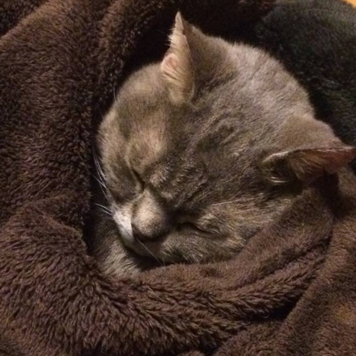 D206869b 8aee 4029 aef8 83a22bd9e50c