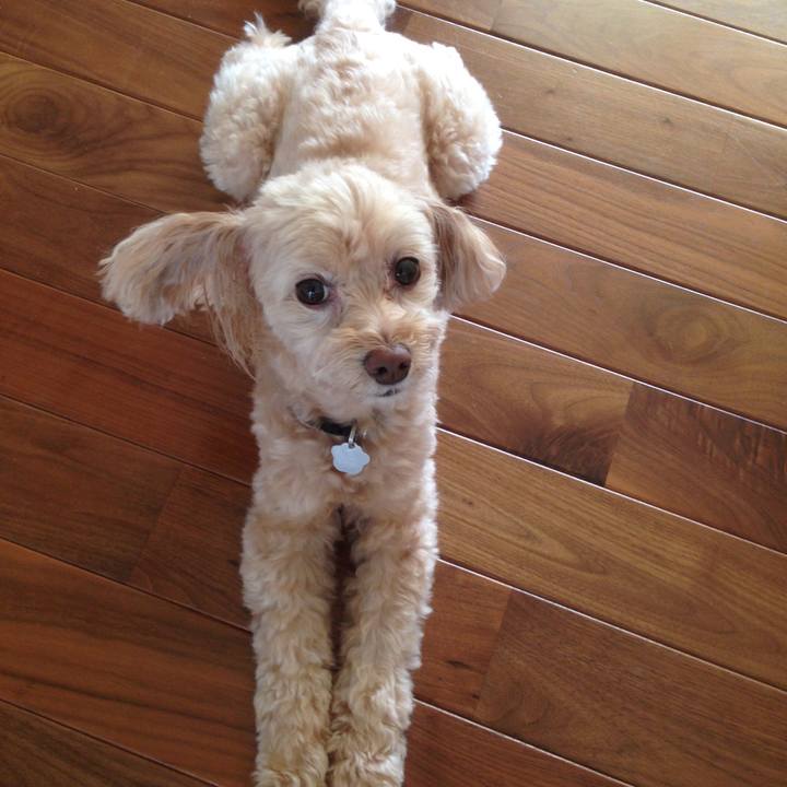 D20721c6 09d4 4059 9b37 d071a779506a