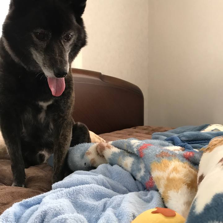 D207494a 4fbe 4f04 9829 c14613151e78