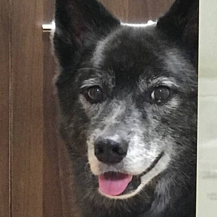 D2078e23 ce13 42b1 9caa ab7b2791ecff