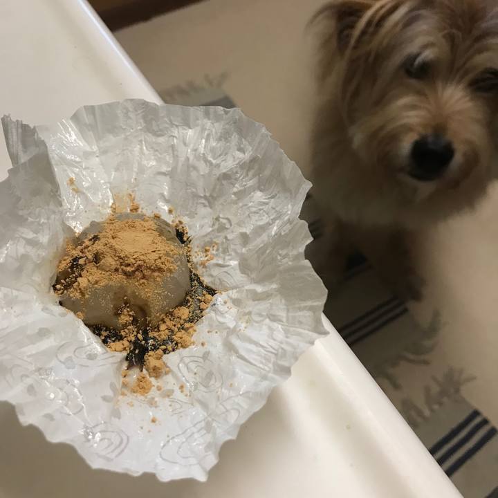 D207a362 c738 491f afa7 08a38cc80240