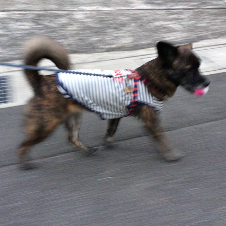 D207e378 6d8d 4537 af1a ec543515d3f2