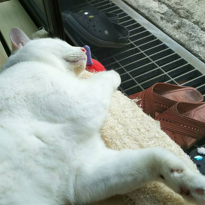 D208b164 f524 4e24 9bd2 a5a932f21acb