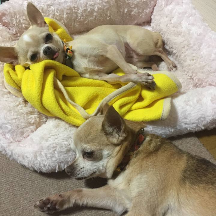 D20994cd f2fe 438d bd7f 442a5bdabd3d