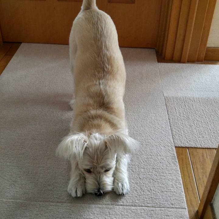 D20a1971 1d06 46a9 81c1 f7fd056ec537