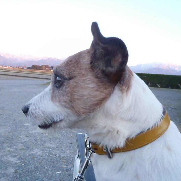 D20a24e1 2a4d 4ebb bed8 2bc2c0179606