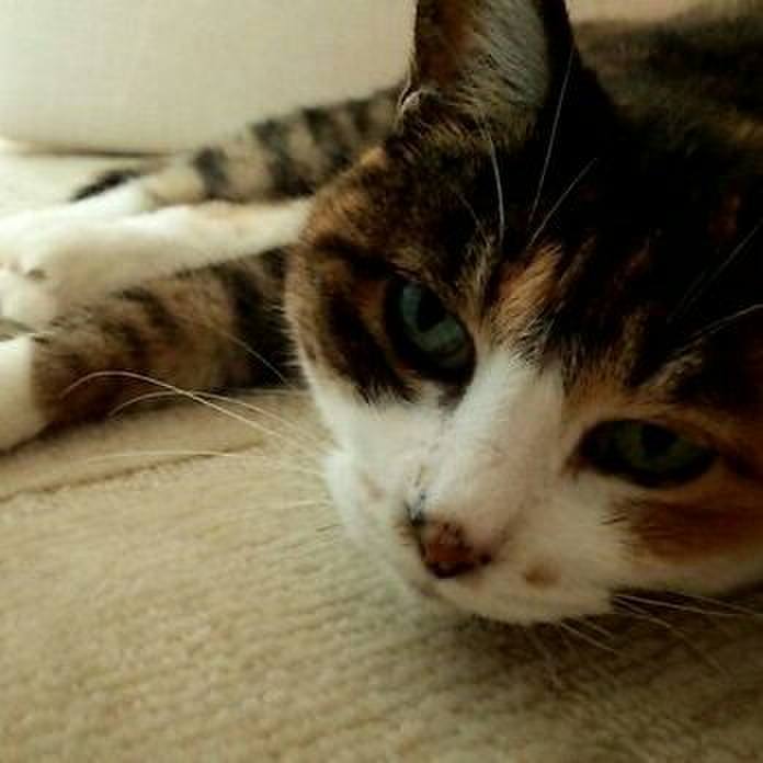 D20ab056 b943 4c9a ad21 169ba341c7a4