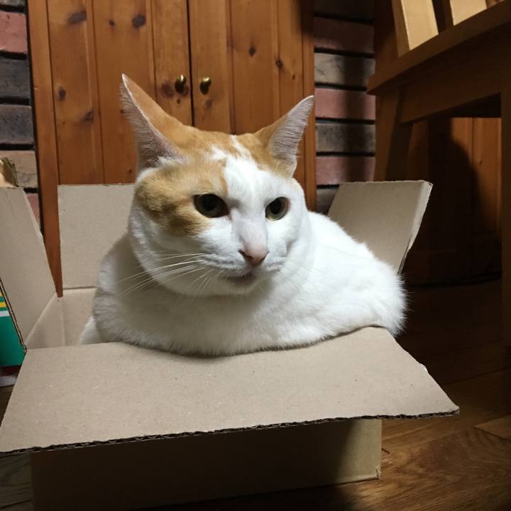 D20b7106 d2e3 4fe5 bdb6 cdd8766a1338