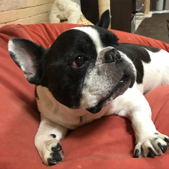 D20c75eb 5568 4390 b0e3 5528421a4b13