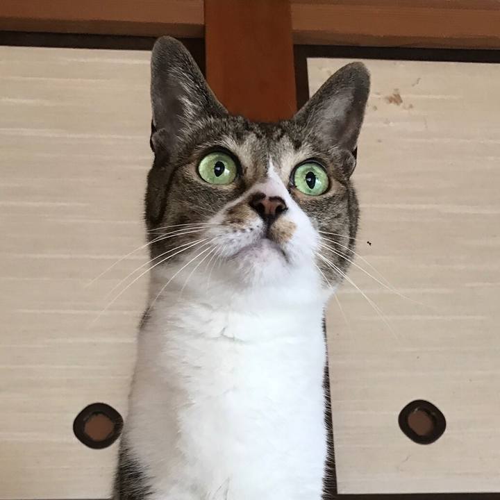 D20ccf8d ae69 4066 a4c7 bc337cb620b9