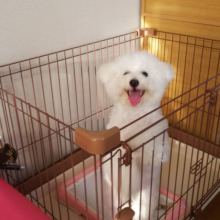 D20d7ec5 4b6f 4a40 8dc3 e95e5efe868e