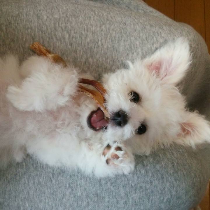 D20d8a64 3fcd 4b71 bc6e 98ab9a975f94