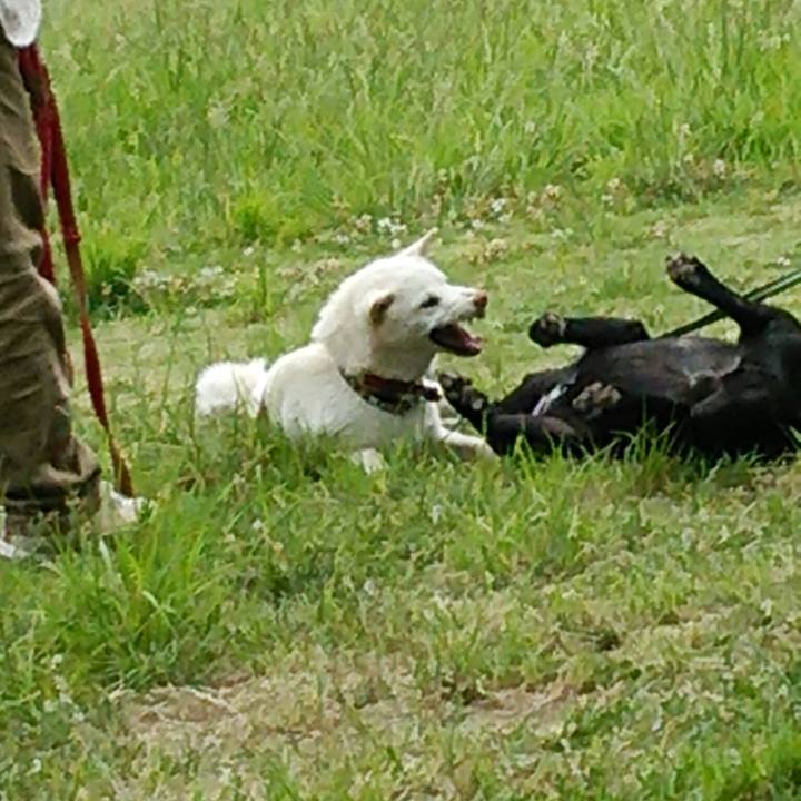 D20df5f3 56cc 4835 90af 493f483d2a62