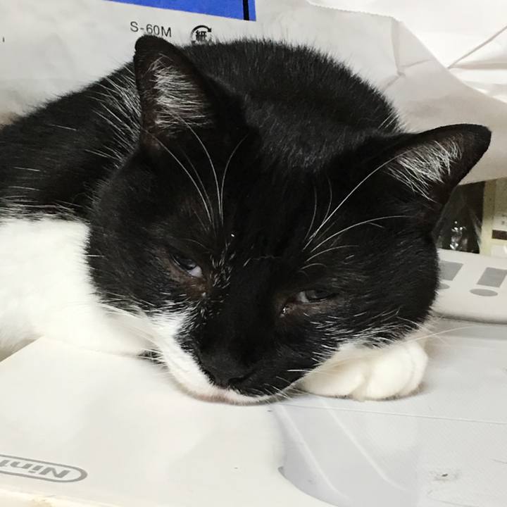 D20e234b b092 4e74 a46d 47f4e7e01c8a